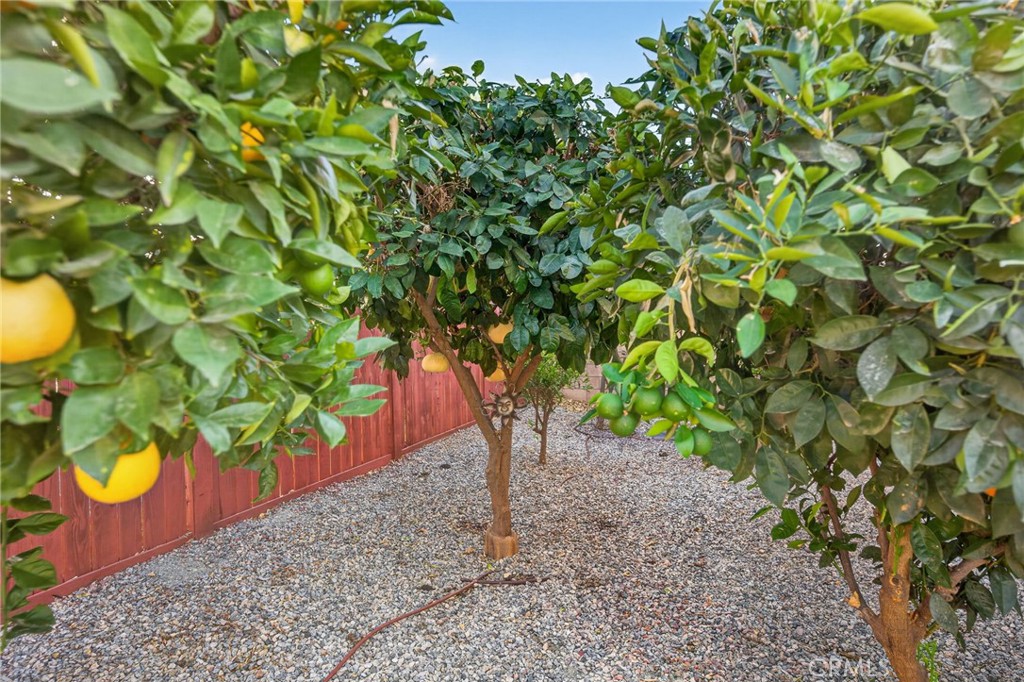 30392 Terrain Property Photo 52