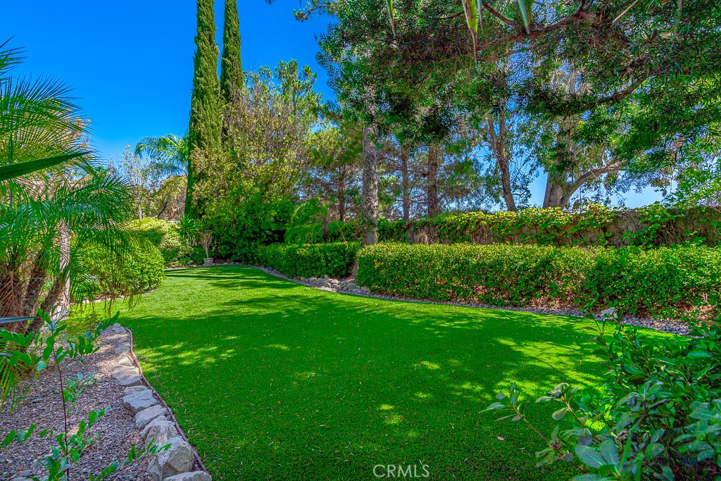 31211 Corte Alhambra Property Photo 28