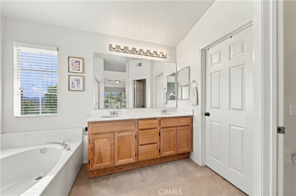 27447 Coyote Mesa Property Photo 18