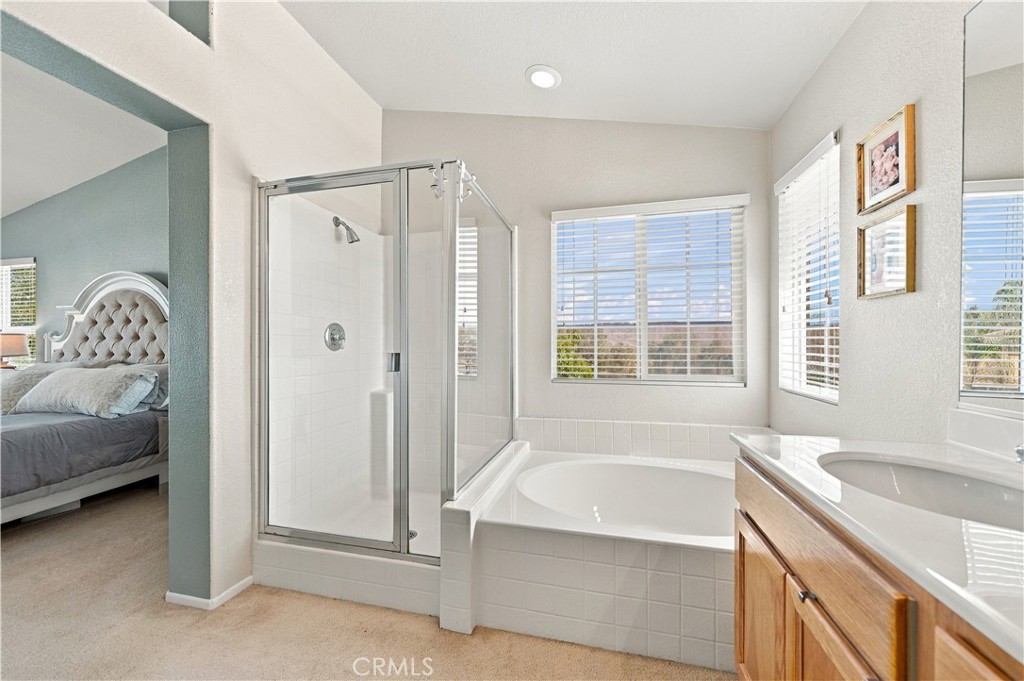 27447 Coyote Mesa Property Photo 19