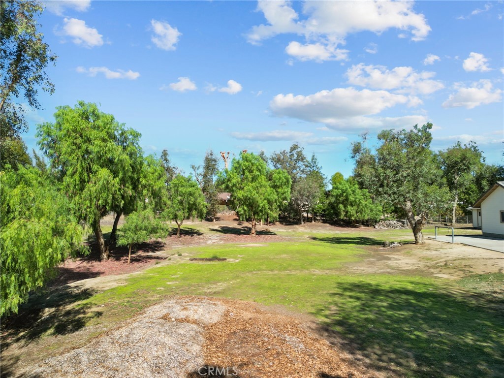 41900 Green Tree Property Photo 45