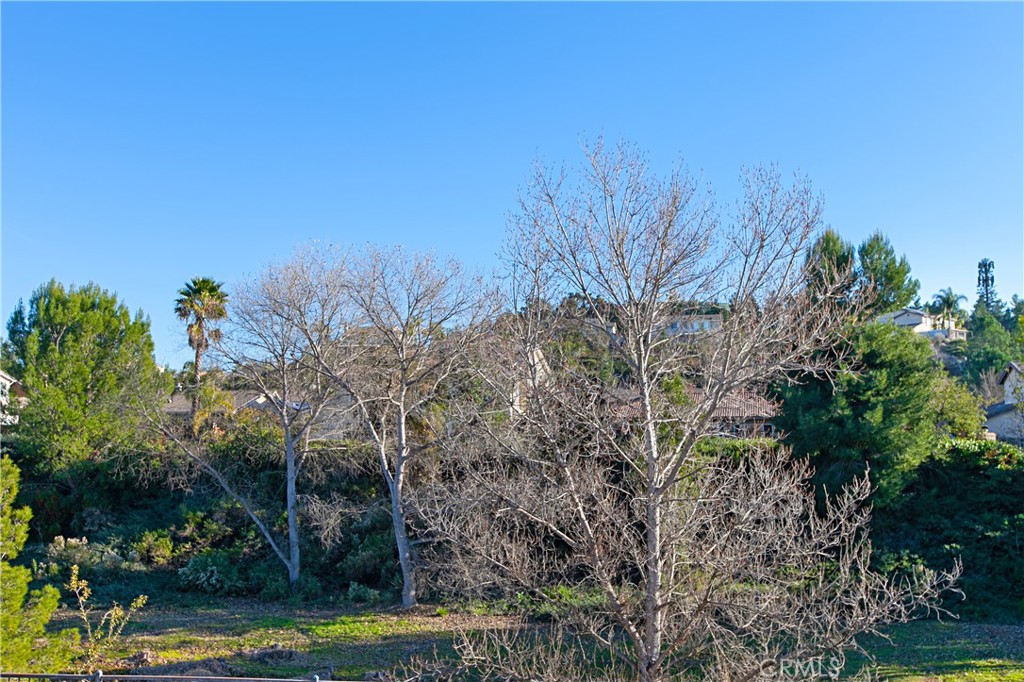 31383 Britton Circle Property Photo 56