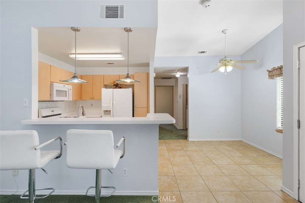 1080 Moon Shadow Court Property Photo 12