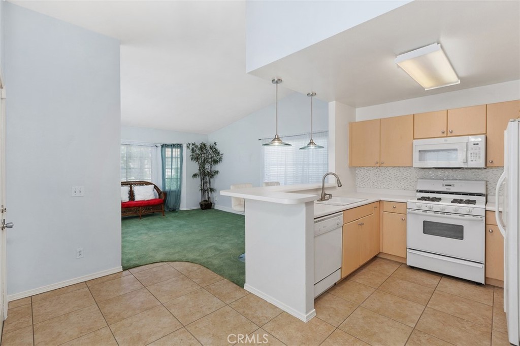 1080 Moon Shadow Court Property Photo 14