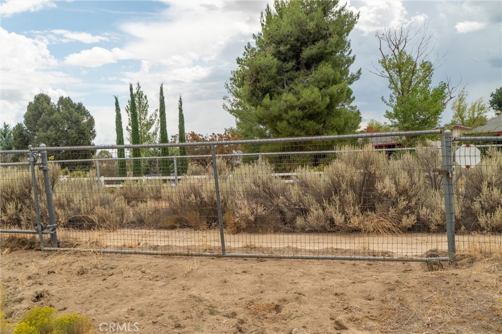 38195 Hill Street Property Photo 32