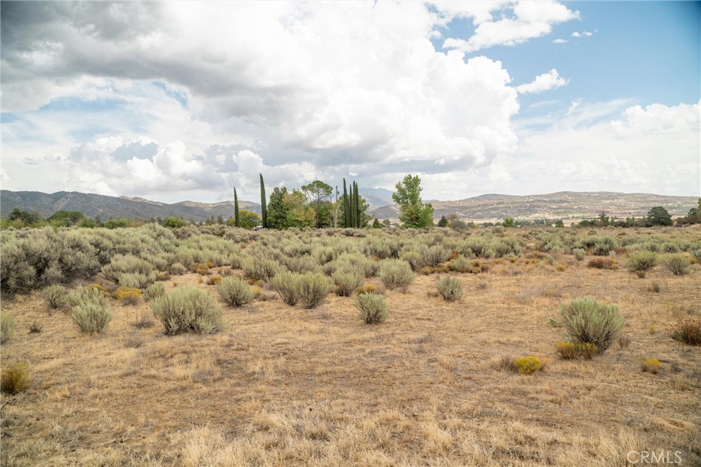 38195 Hill Street Property Photo 55