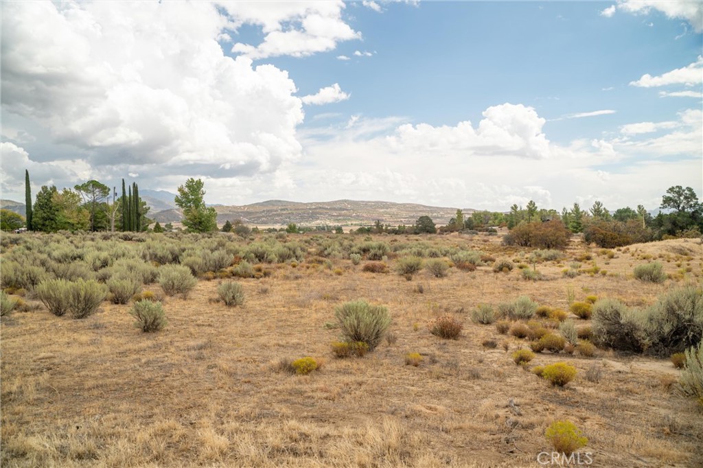 38195 Hill Street Property Photo 59
