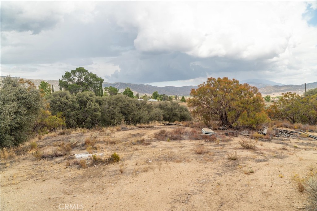38195 Hill Street Property Photo 61