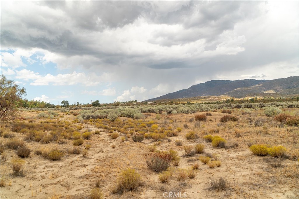38195 Hill Street Property Photo 66