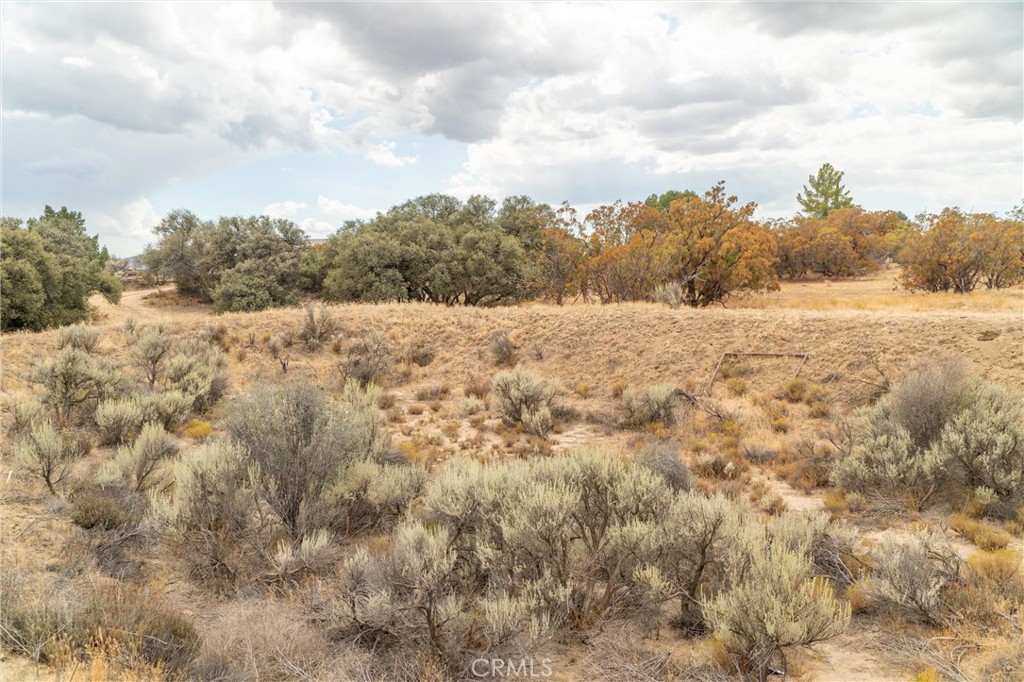 38195 Hill Street Property Photo 67