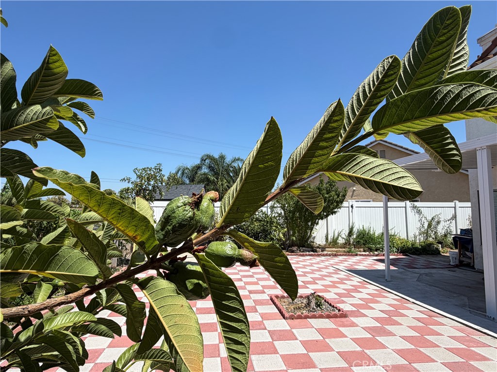 31008 Dulce Court Property Photo 27