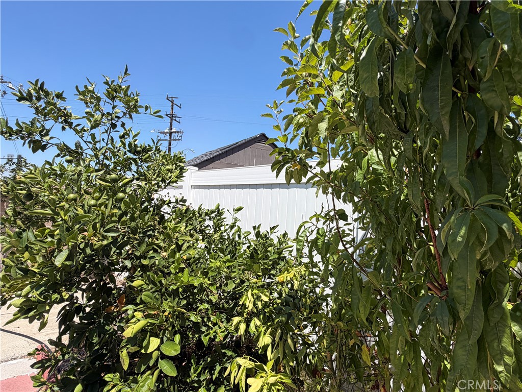 31008 Dulce Court Property Photo 28