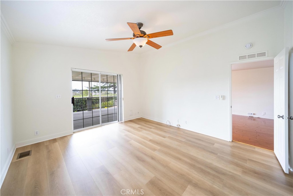 38642 Via Amarilla Property Photo 42