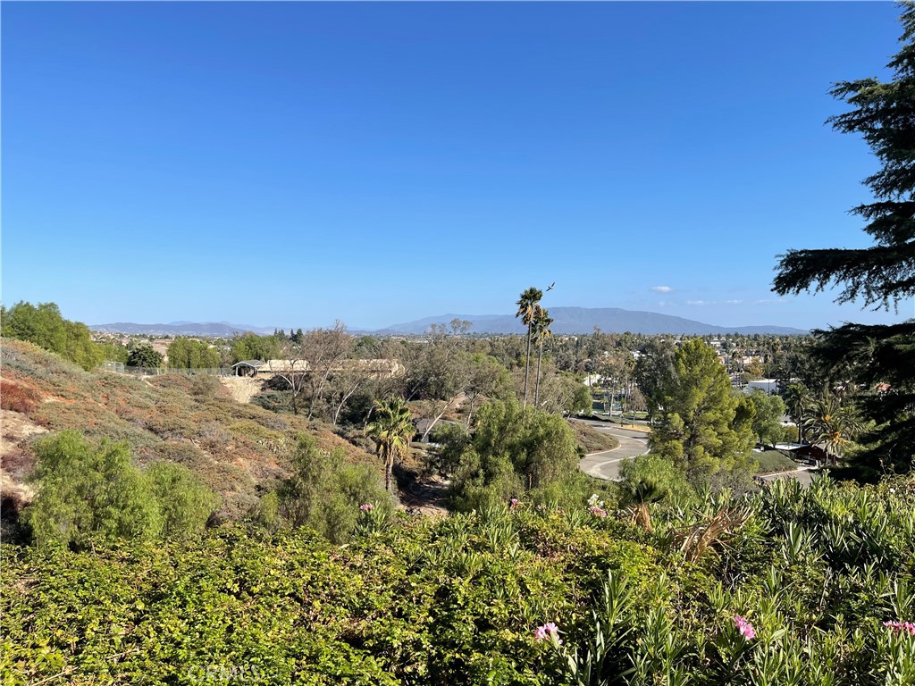 38642 Via Amarilla Property Photo 53