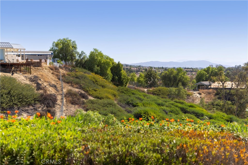 38642 Via Amarilla Property Photo 54