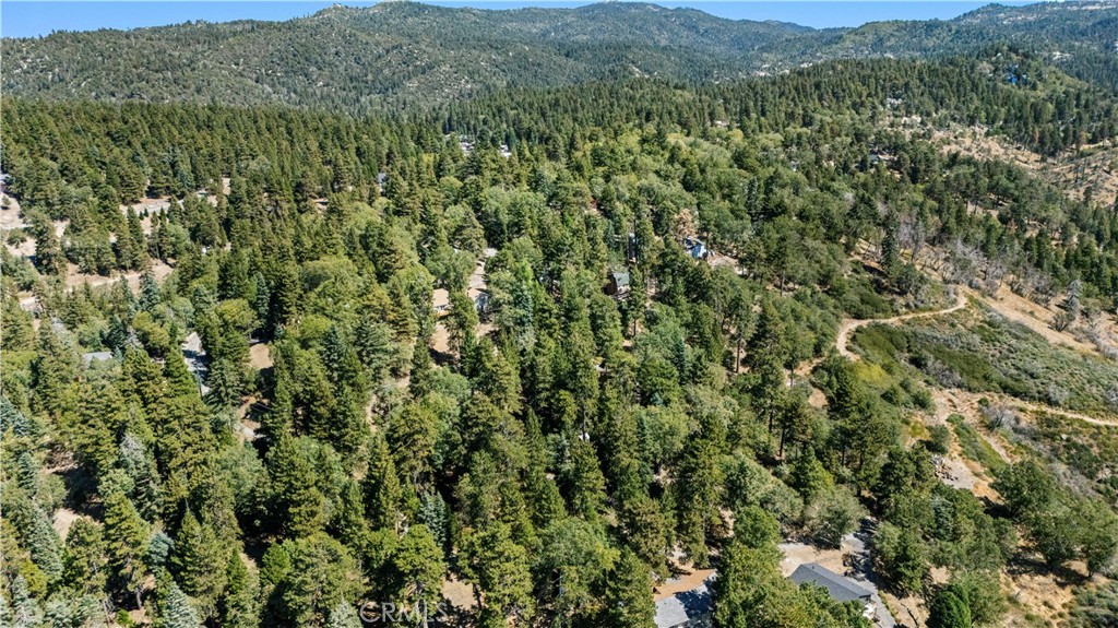 31795 Hwy 330 Property Photo 6