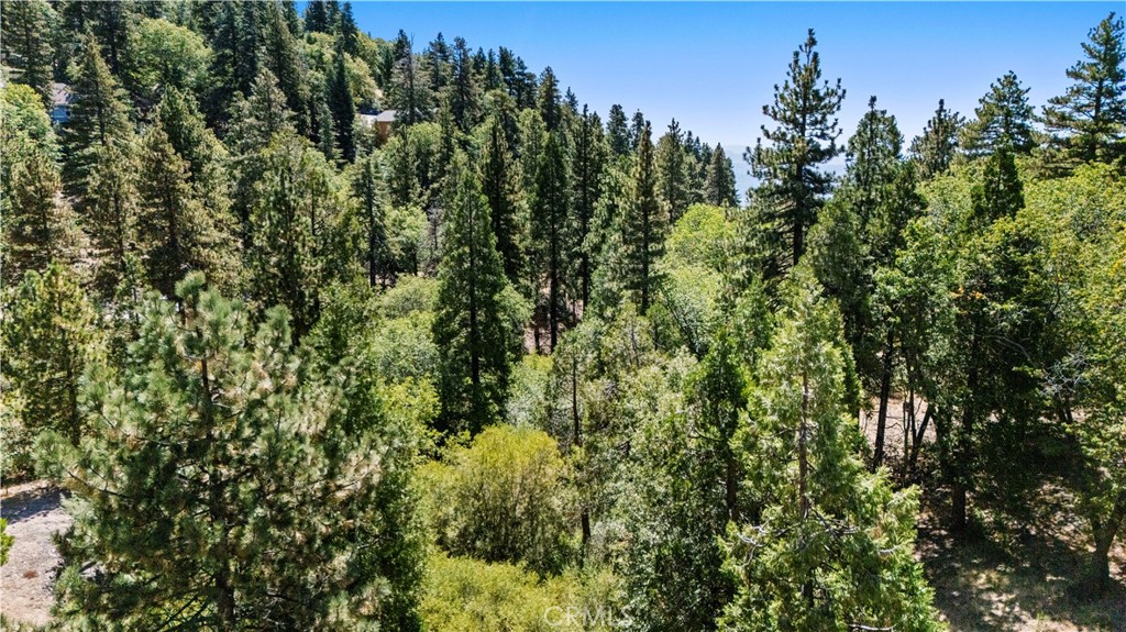 31795 Hwy 330 Property Photo 11