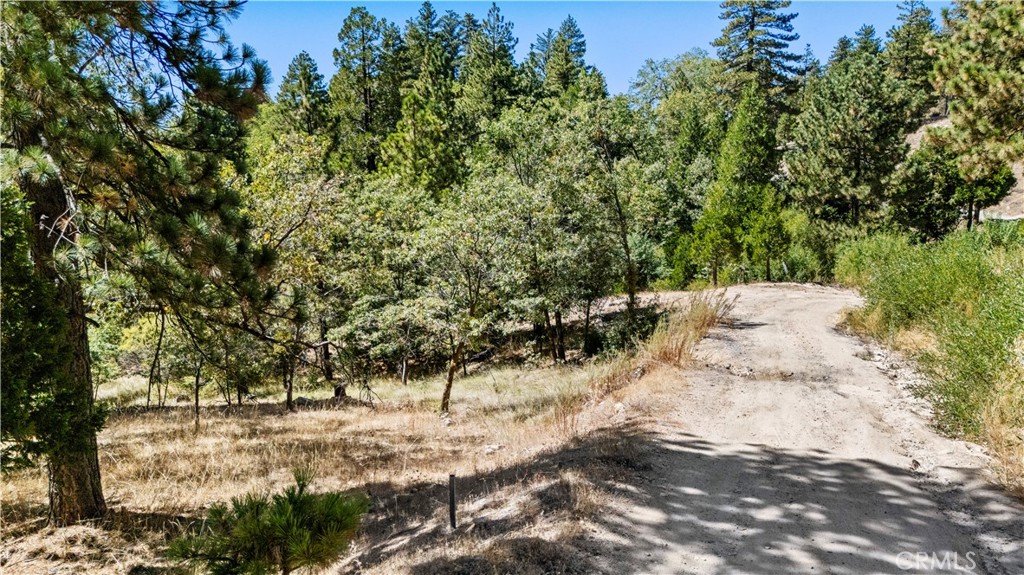31795 Hwy 330 Property Photo 14