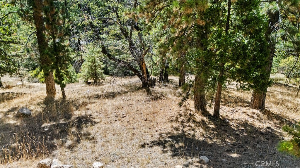 31795 Hwy 330 Property Photo 15