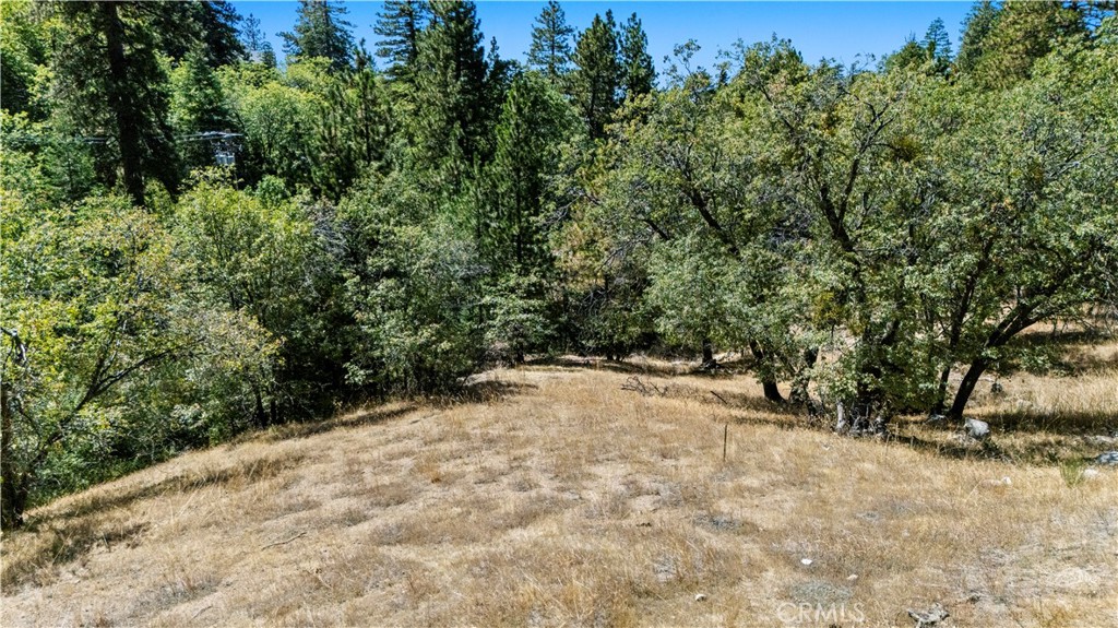 31795 Hwy 330 Property Photo 16