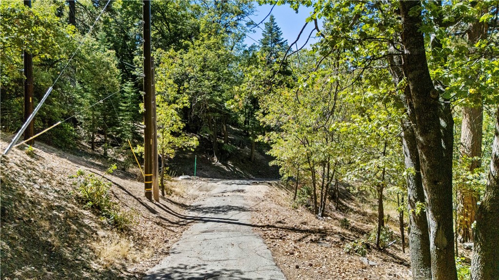31795 Hwy 330 Property Photo 17