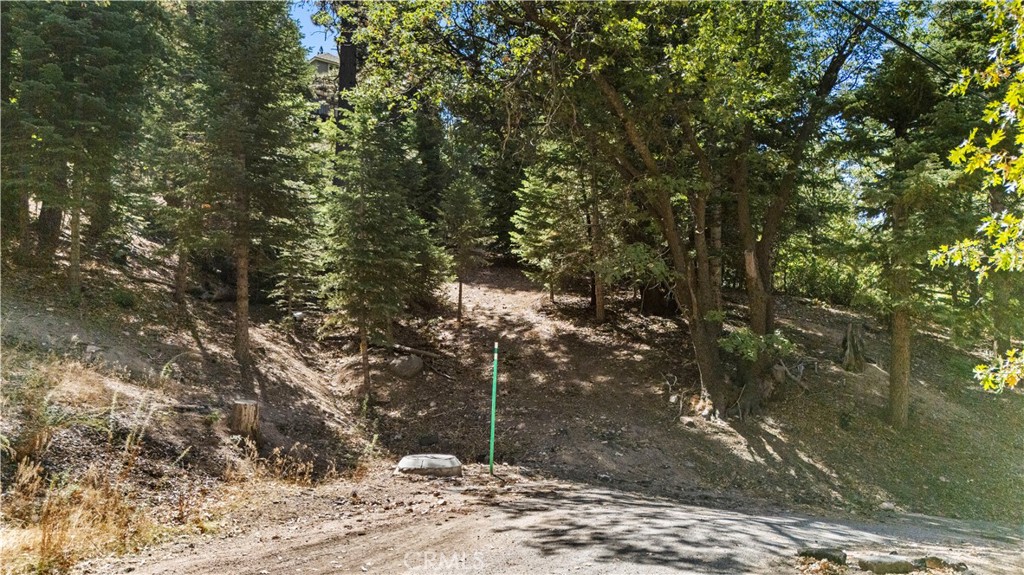 31795 Hwy 330 Property Photo 18