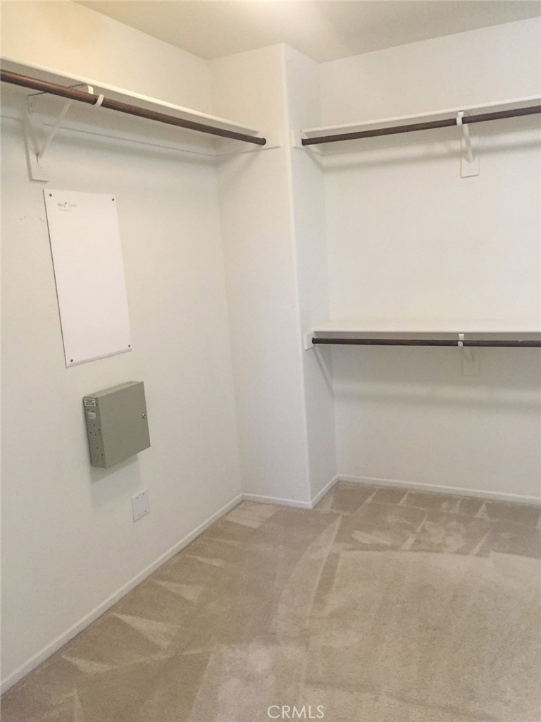 29788 Circinus Street Property Photo 18