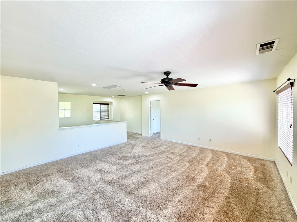 33602 Magnetite Street Property Photo 22