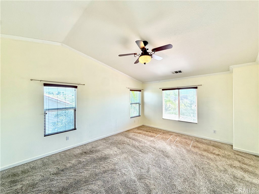 33602 Magnetite Street Property Photo 31