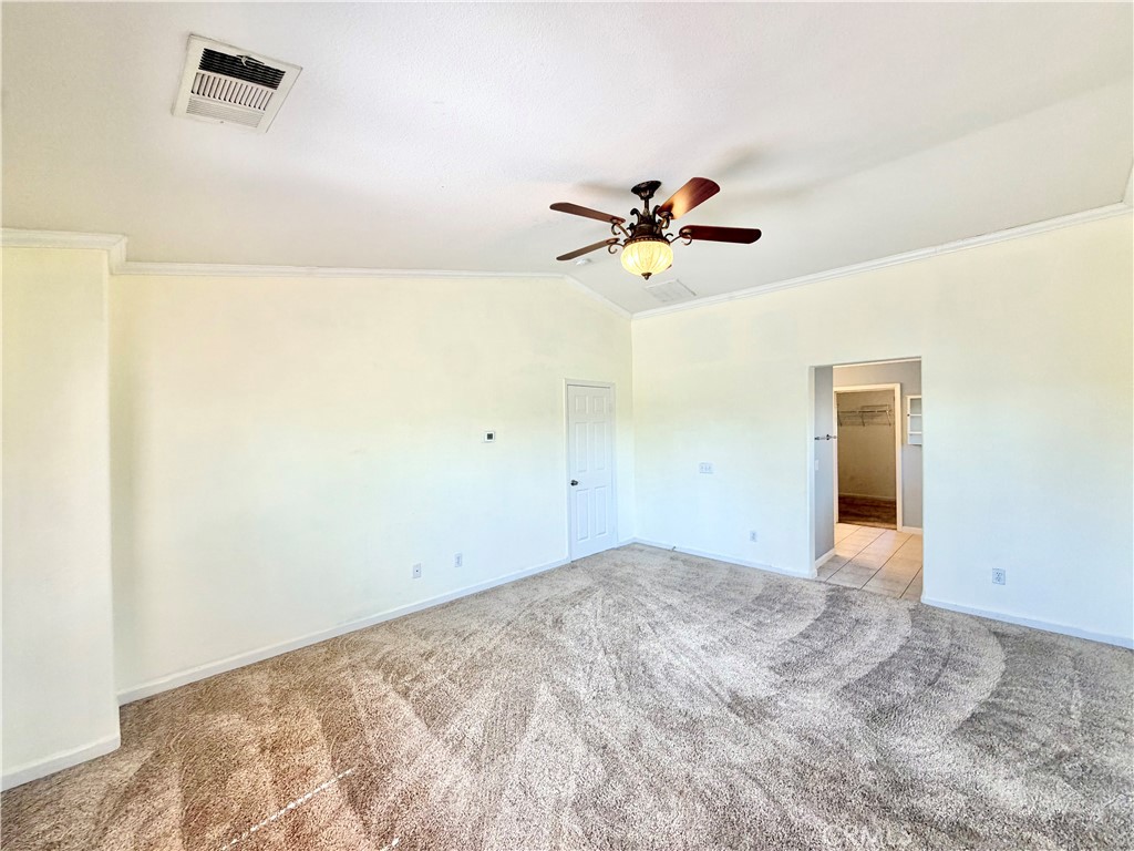 33602 Magnetite Street Property Photo 32