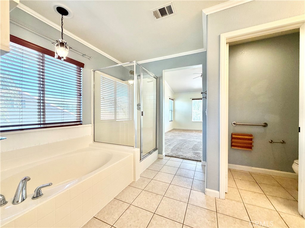 33602 Magnetite Street Property Photo 35