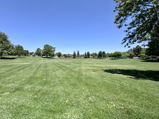 33602 Magnetite Street Property Photo 51