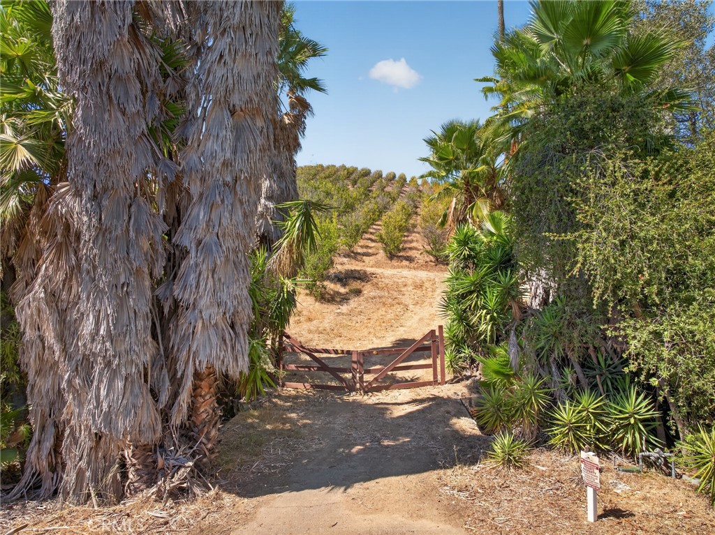 16 Terreno Property Photo 4