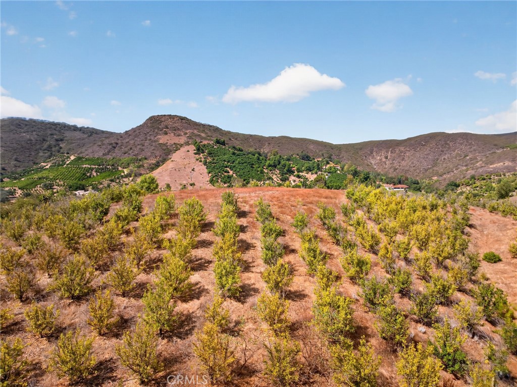 16 Terreno Property Photo 16