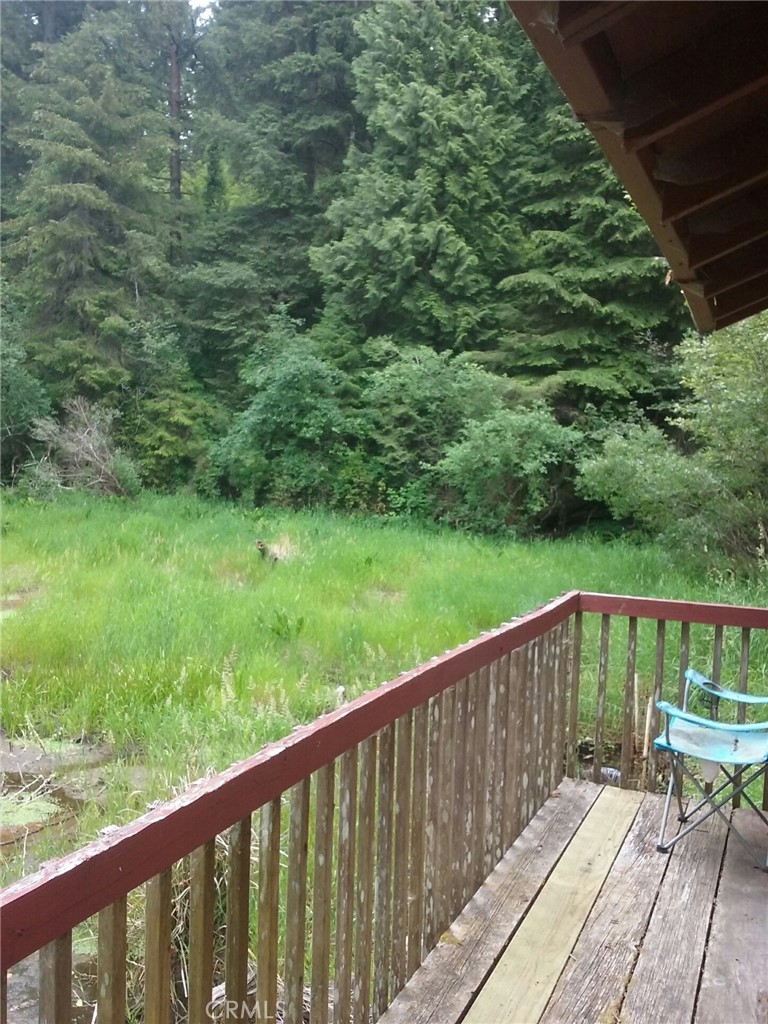 4415 Woods Lane Property Photo 43