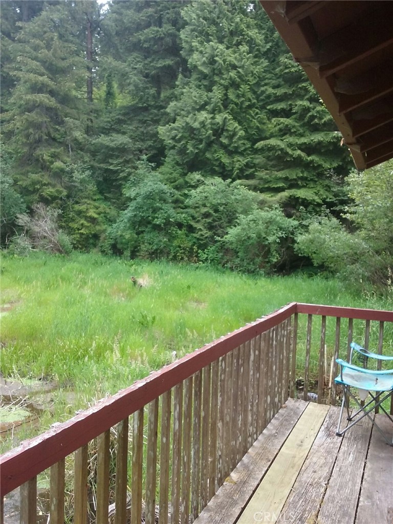 4415 Woods Lane Property Photo 43