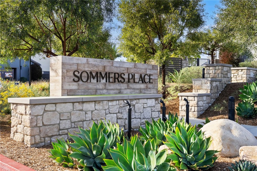 32129 Dymondia Way Property Photo 51