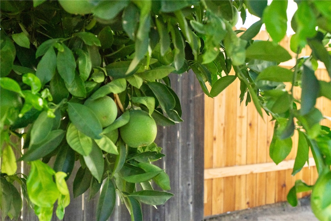 21478 Maple Street Property Photo 31