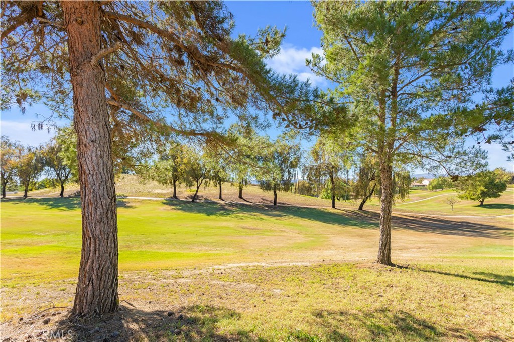 31520 Champions Circle Property Photo 39