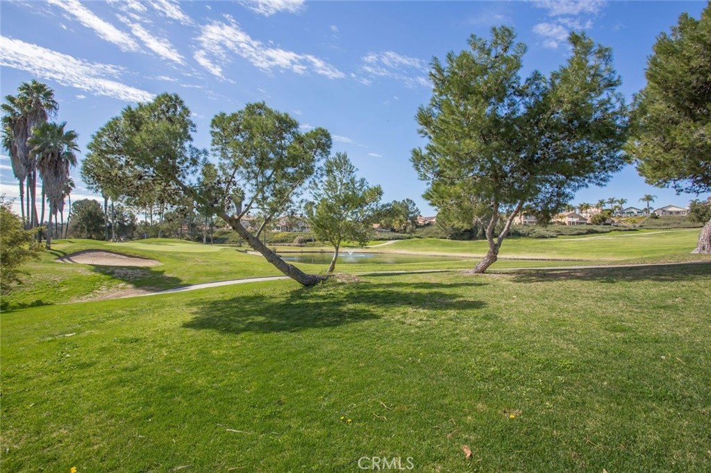 31520 Champions Circle Property Photo 59