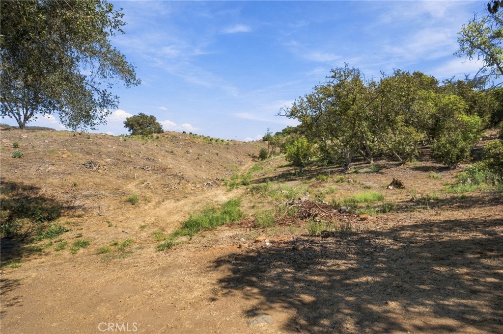 69 Via Vaquero Property Photo 10