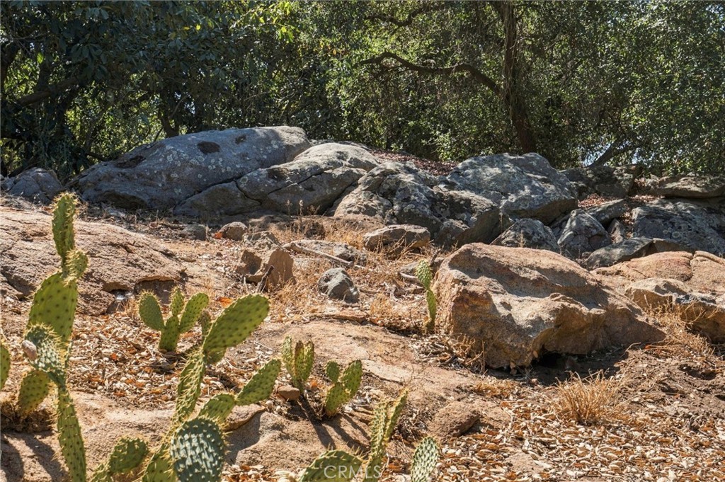 69 Via Vaquero Property Photo 17