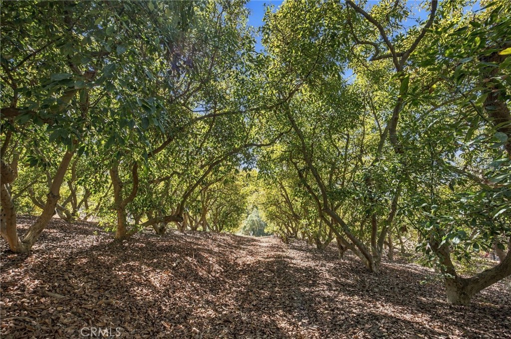 69 Via Vaquero Property Photo 18