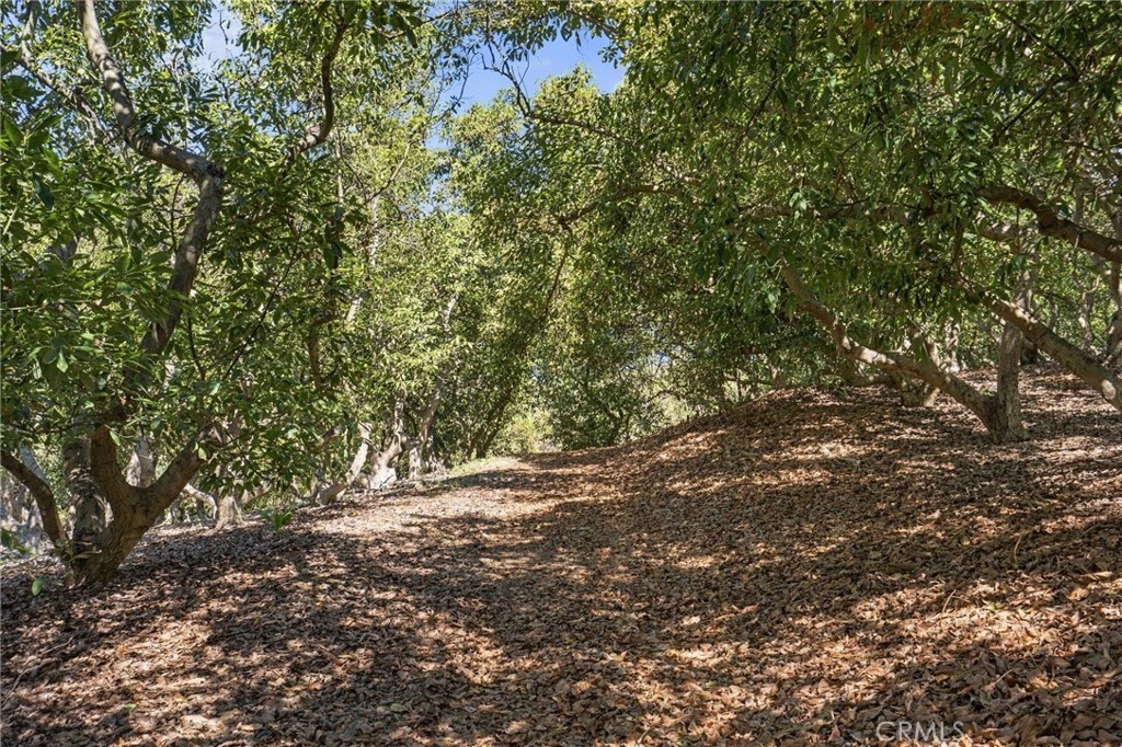 69 Via Vaquero Property Photo 22