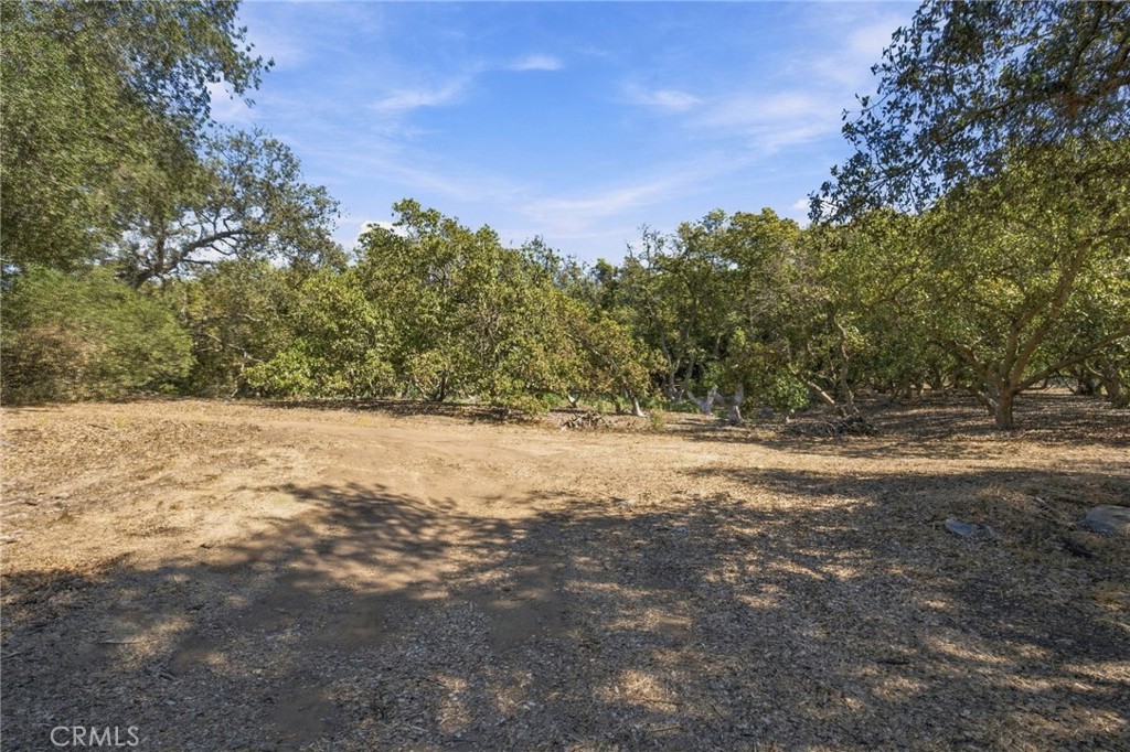 69 Via Vaquero Property Photo 23