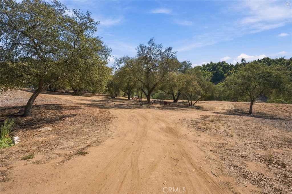 69 Via Vaquero Property Photo 24