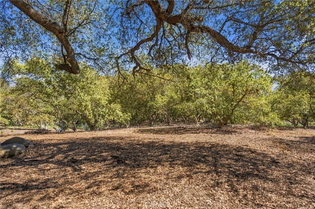 69 Via Vaquero Property Photo 29