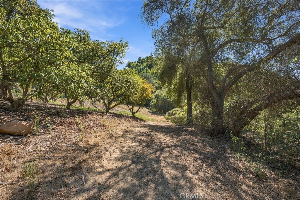 69 Via Vaquero Property Photo 30