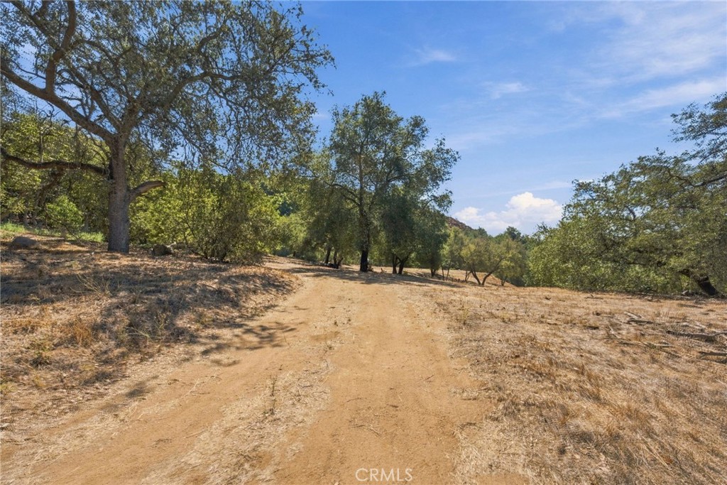 69 Via Vaquero Property Photo 31