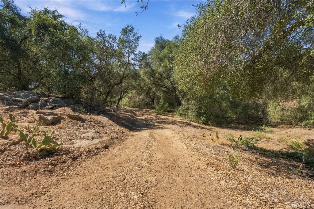 69 Via Vaquero Property Photo 34